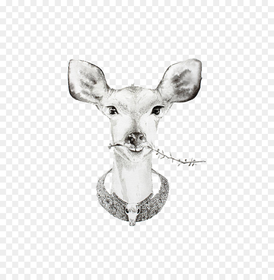 Dessin De Cerf，Animal PNG