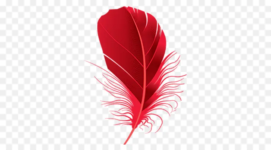 Plume，Rouge PNG