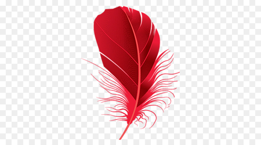 Plume, Rouge, Commune De Autruche PNG - Plume, Rouge, Commune De