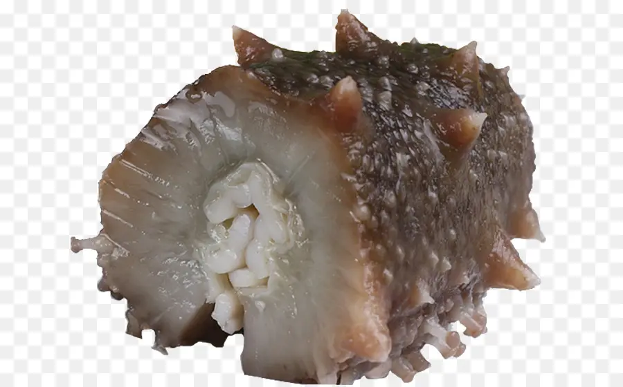 Concombre De Mer Comme Nourriture，Fruit De Mer PNG