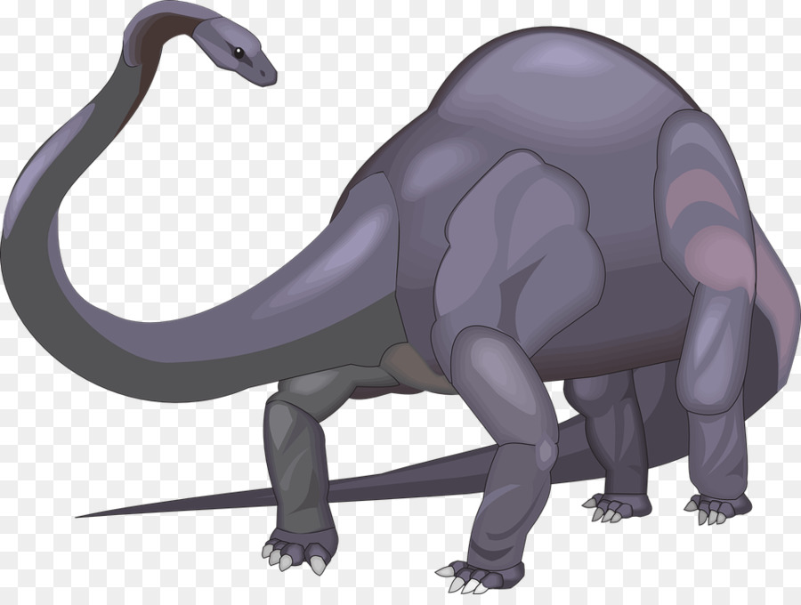 Diplodocus，Stegosaurus PNG
