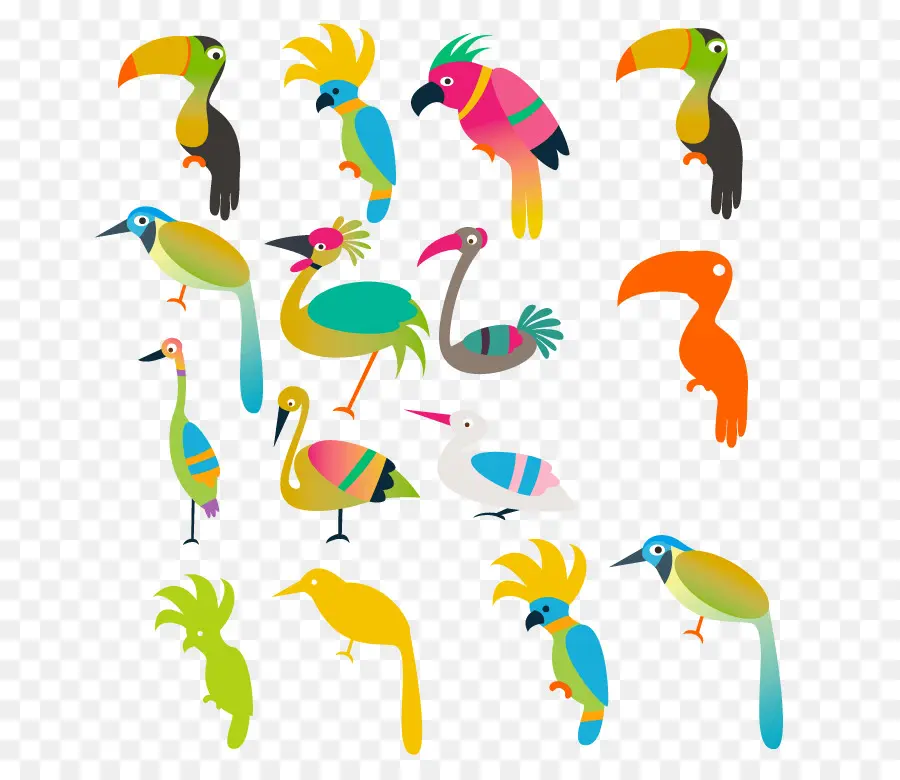 Oiseaux，Coloré PNG