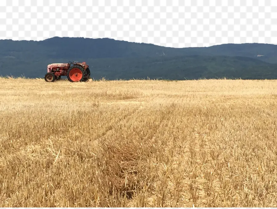 Tracteur，Champ PNG