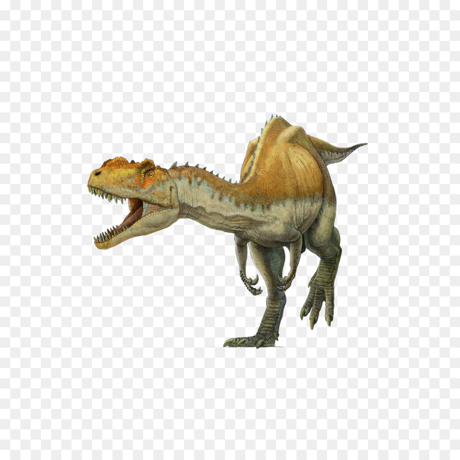 Yangchuanosaurus，Tyrannosaurus PNG
