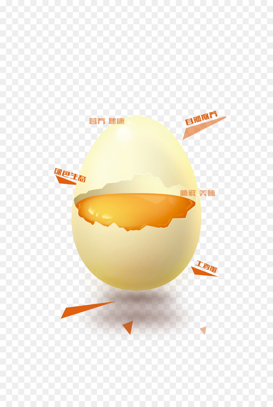 La Nutrition，Oeuf PNG