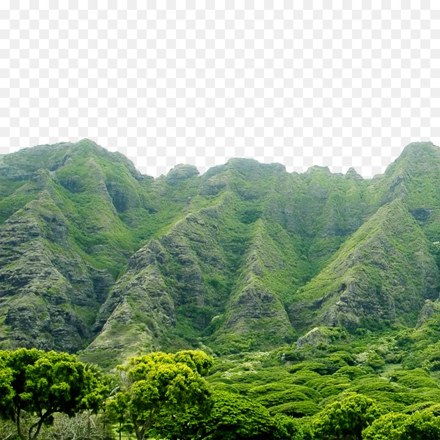 Le Vert Des Montagnes，Montagne PNG