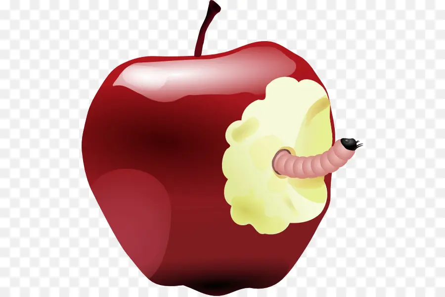 Ver，Pomme PNG