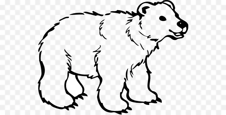 Ours Noir Américain，L Ours Polaire PNG