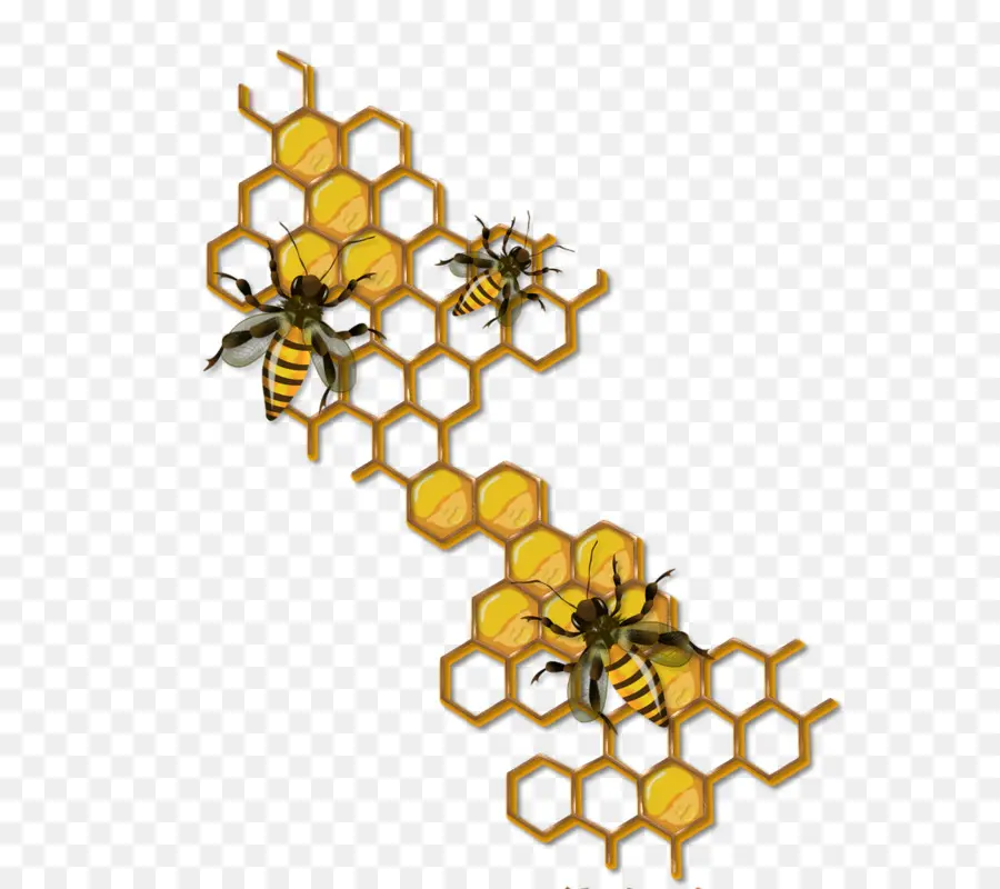 Rayon De Miel，Abeilles PNG