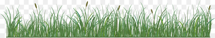 Herbe Verte Courte，Nature PNG