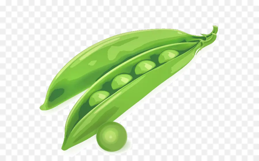 Pois Verts，Cosse PNG