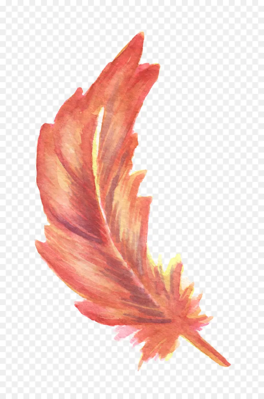 Plume，Rouge PNG