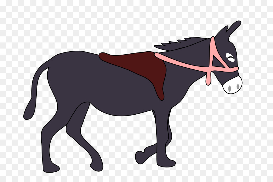 Âne，Mule PNG