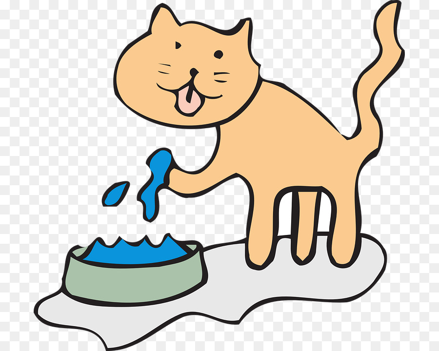 Chat，Eau PNG