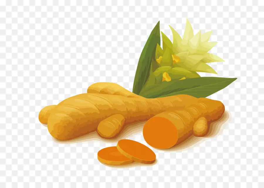 Curcuma，Racine PNG