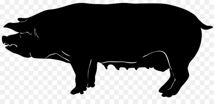 Silhouette De Cochon，Animal PNG