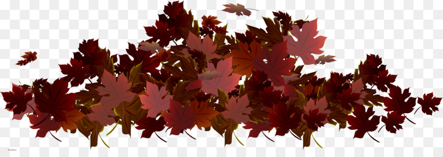 Feuilles Rouges，Automne PNG