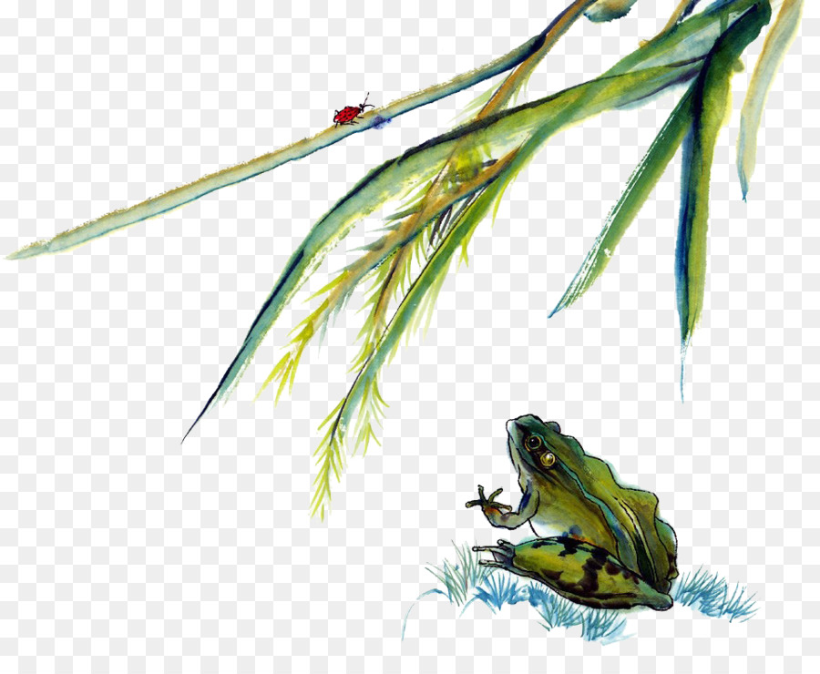 Grenouille，Amphibie PNG