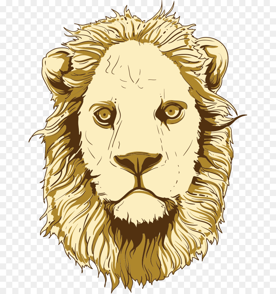 Lion，Sauvage PNG