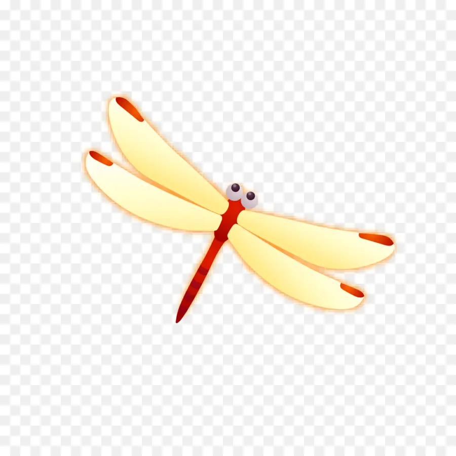 Libellule，Ailes PNG