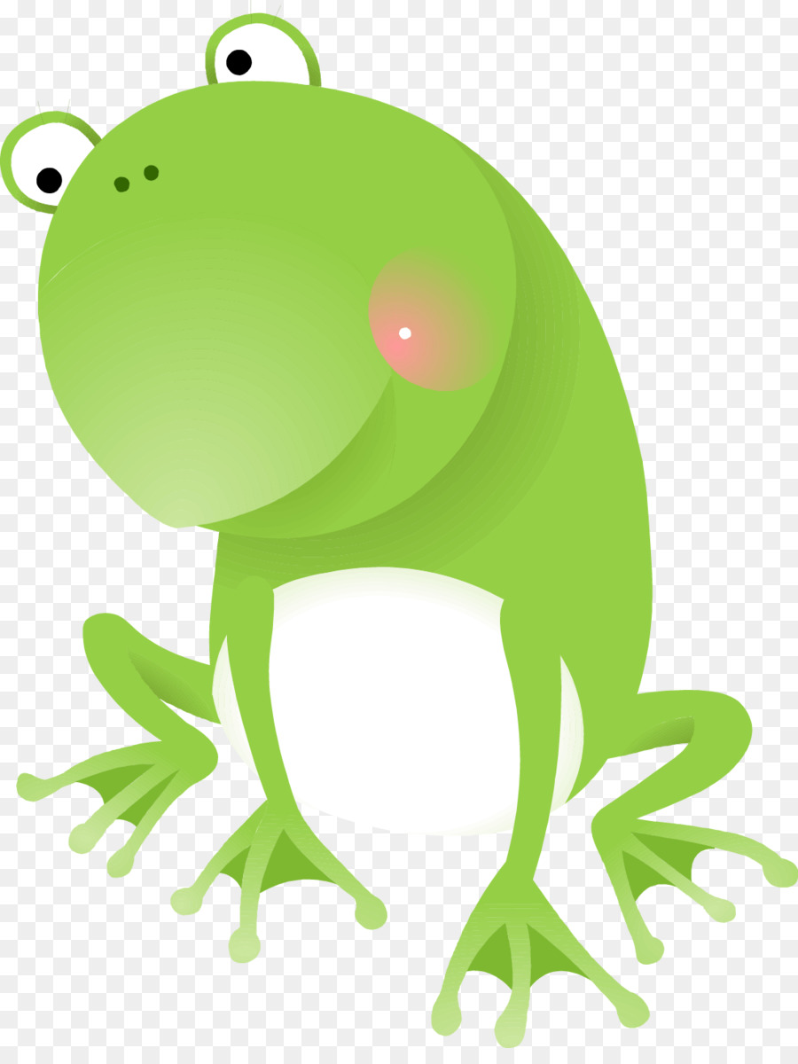 Grenouille Verte De Dessin Animé，Animal PNG