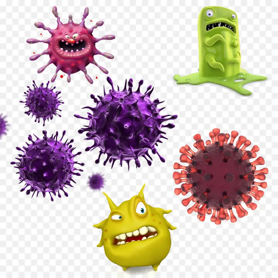 Virus，Bactéries PNG