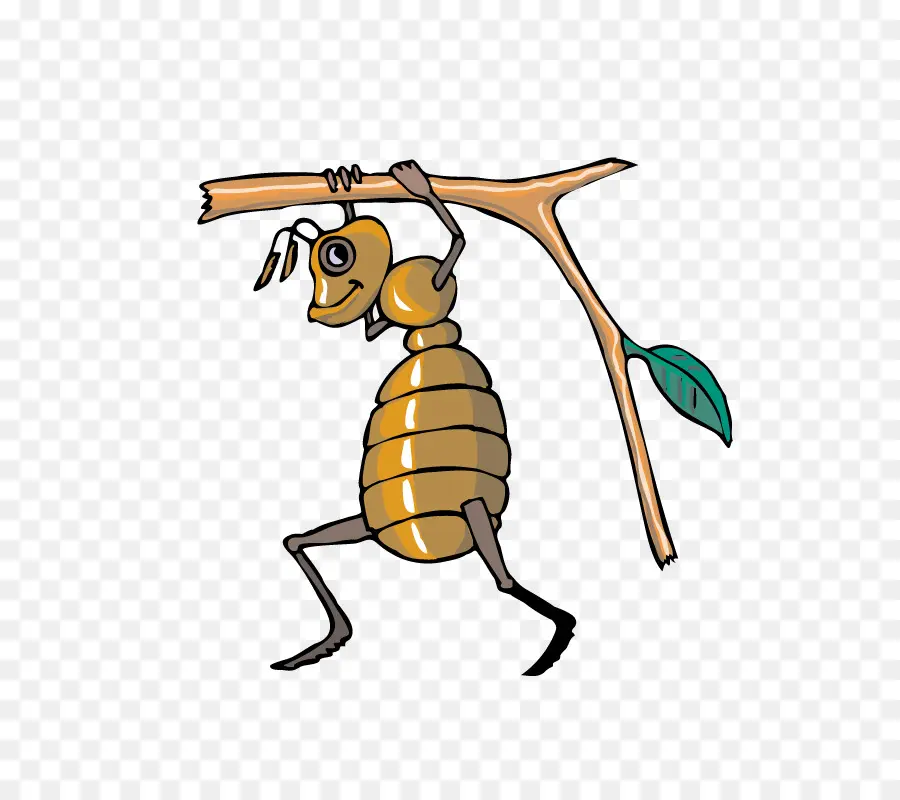 Abeille，Fourmi PNG