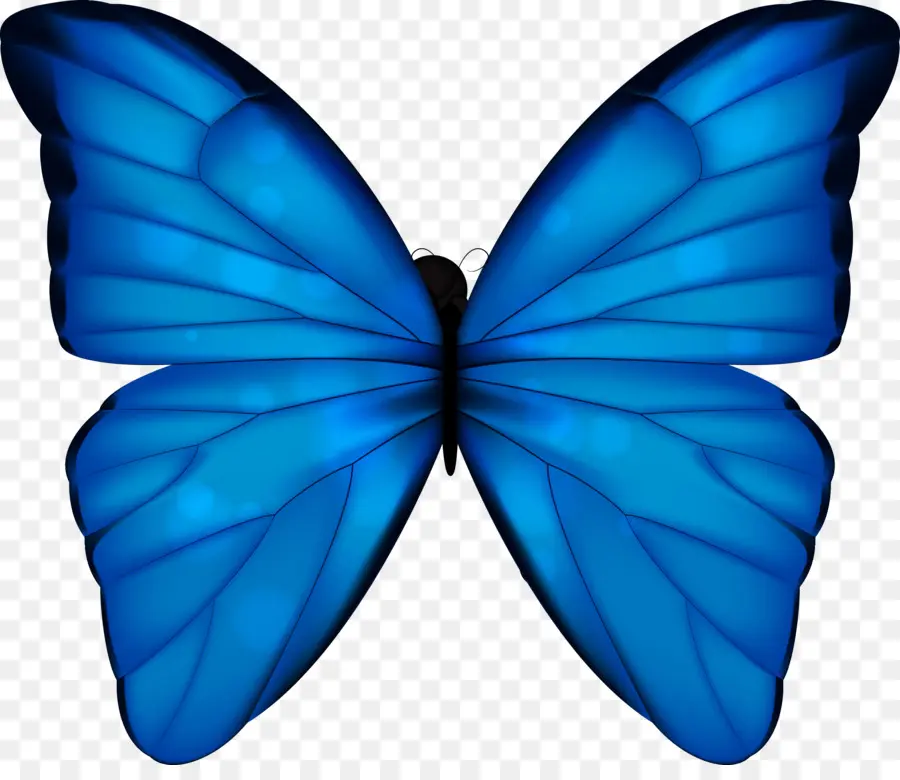 Papillon Bleu，Ailes PNG