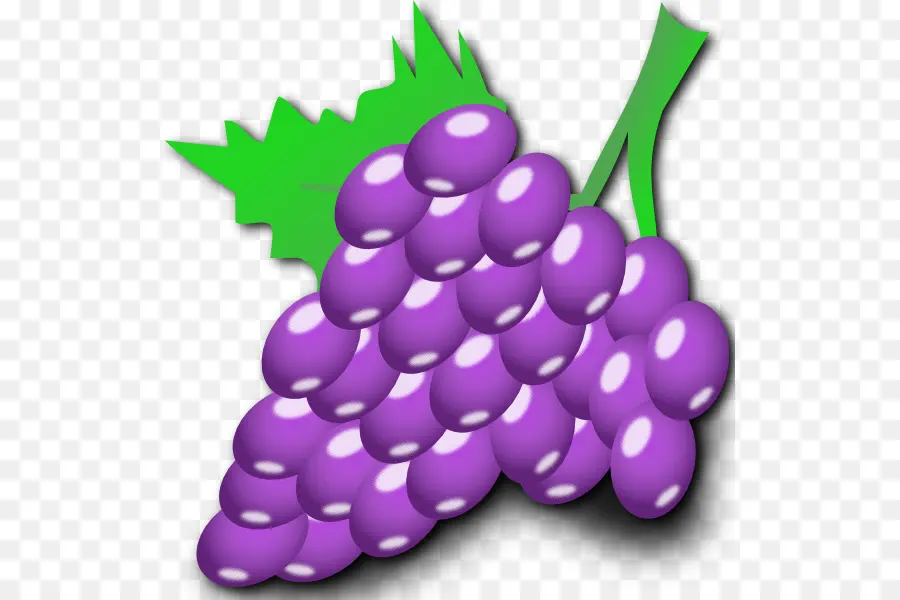 Raisins Violets，Fruit PNG