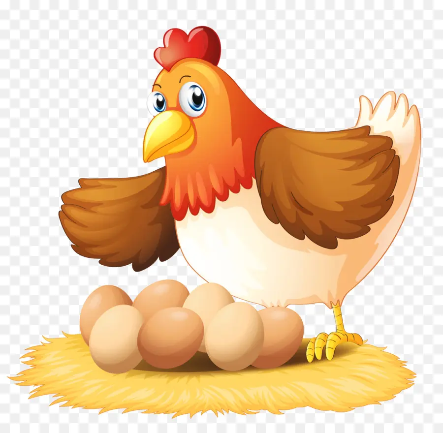 Poulet，Oeuf PNG