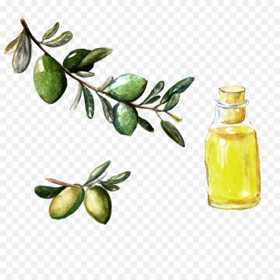 L Huile D Argan，Le Pétrole PNG