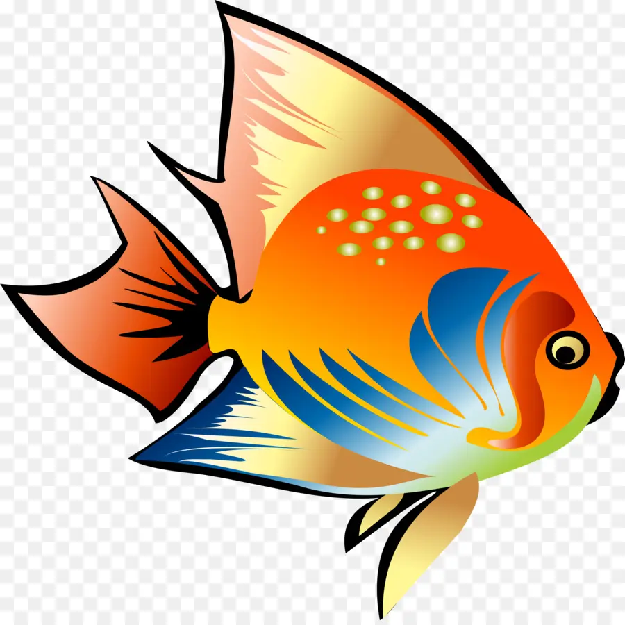 Poisson Rouge，Poisson PNG