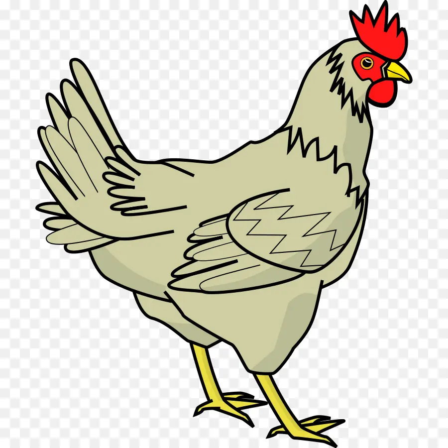 Poulet De Dessin Animé，Poulet PNG