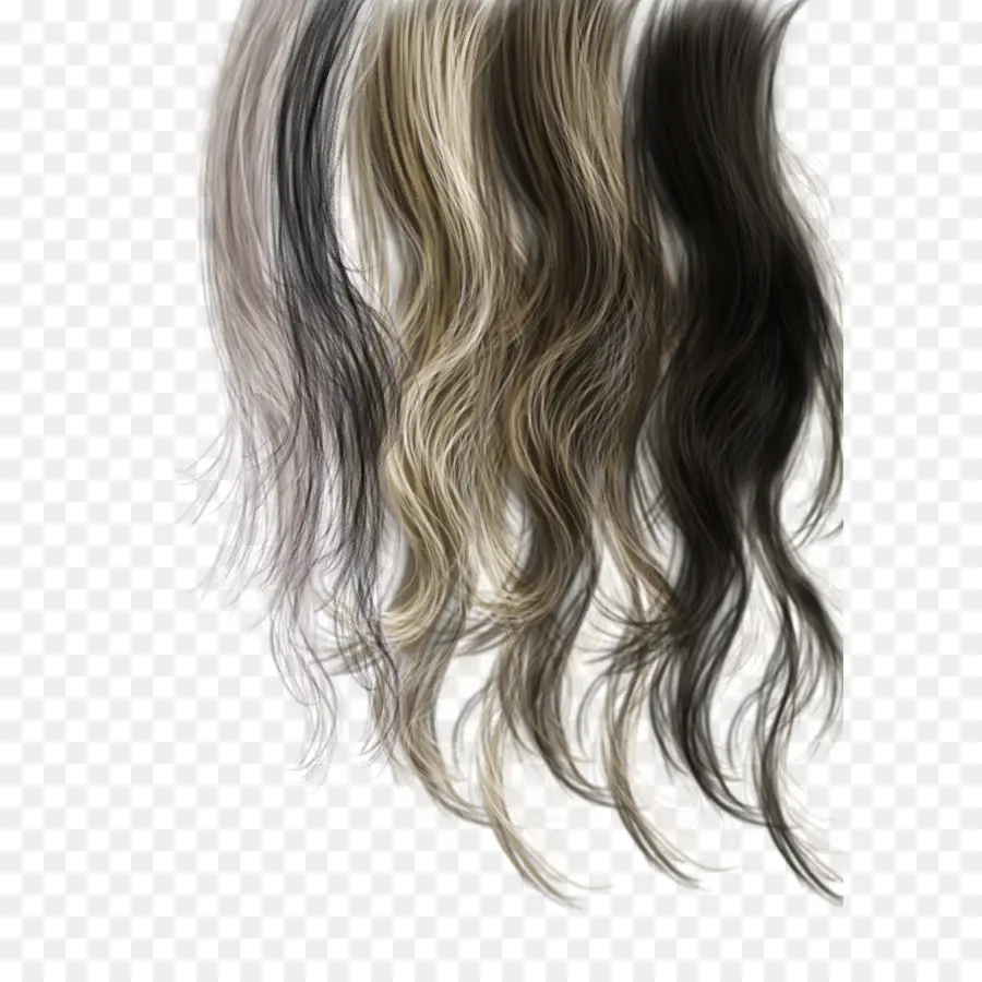 Cheveux，Coiffure PNG