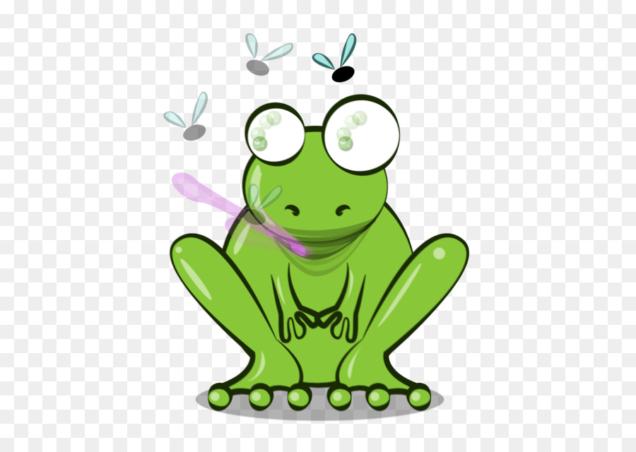 Grenouille，Animal PNG