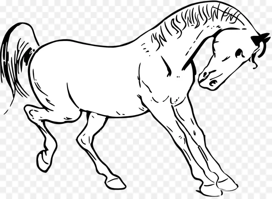 Cheval，Selle PNG