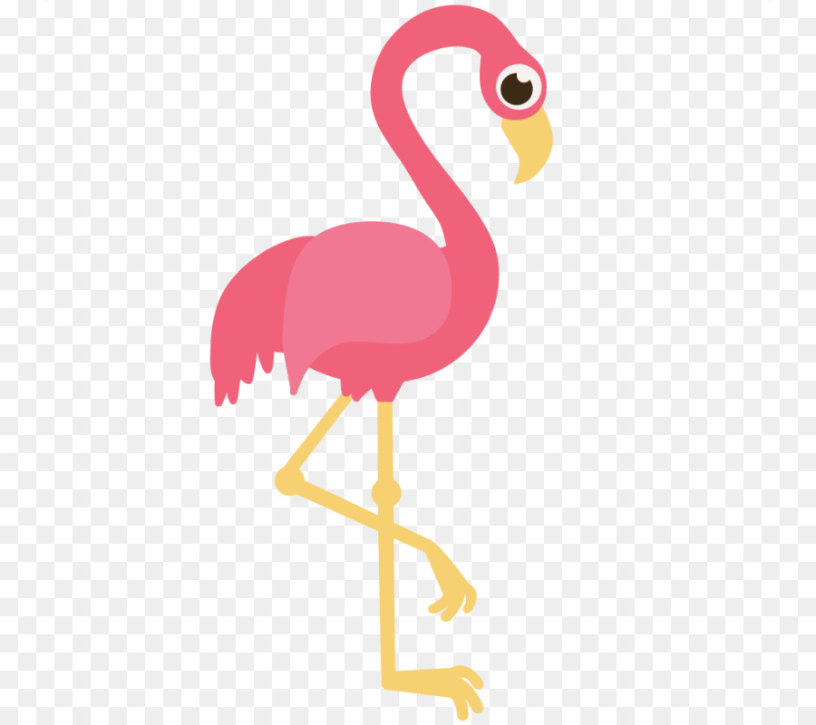 Flamant Rose，Flamant PNG