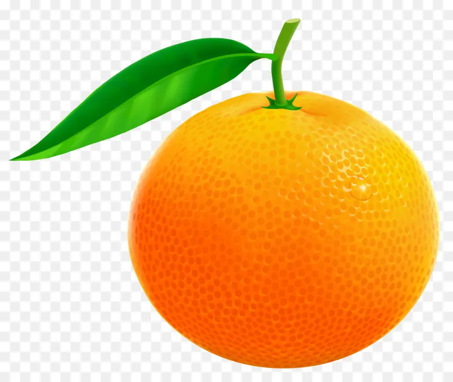 Orange，Contenu Gratuit PNG