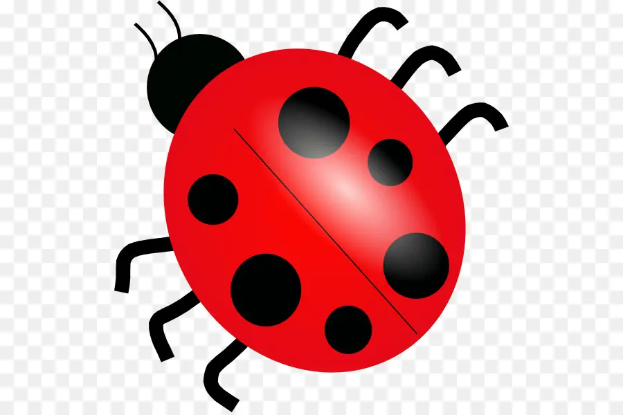 Coccinelle，Bogue PNG