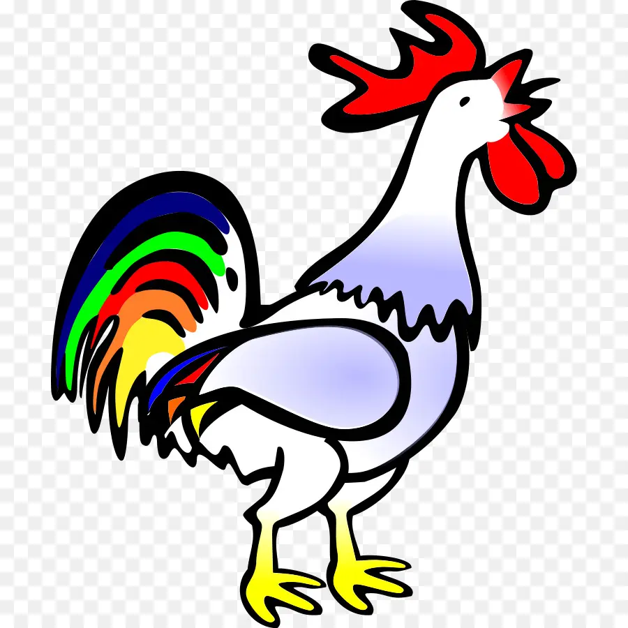 Coq Coloré，Corbeau PNG