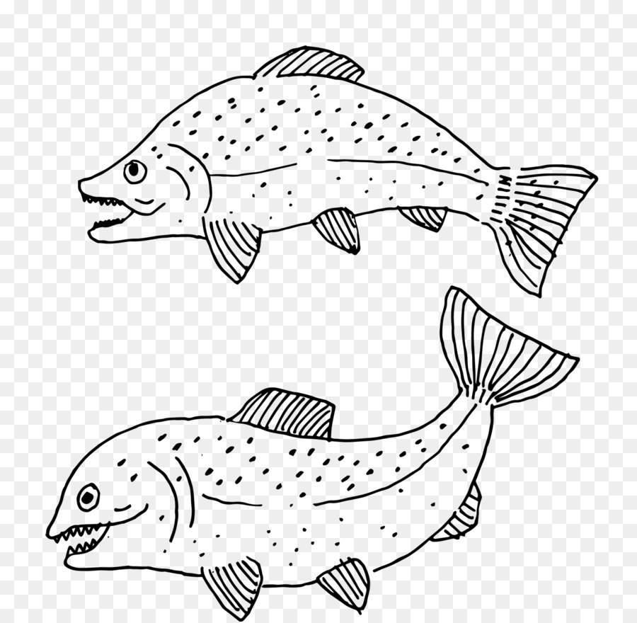 Poisson，Stylo PNG