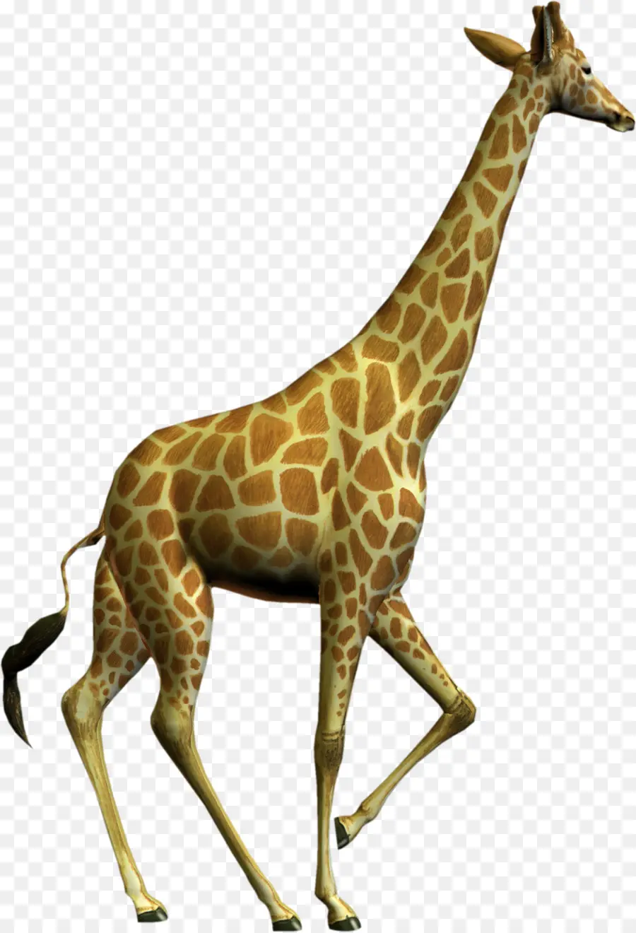 Girafe Bleue，Girafe PNG