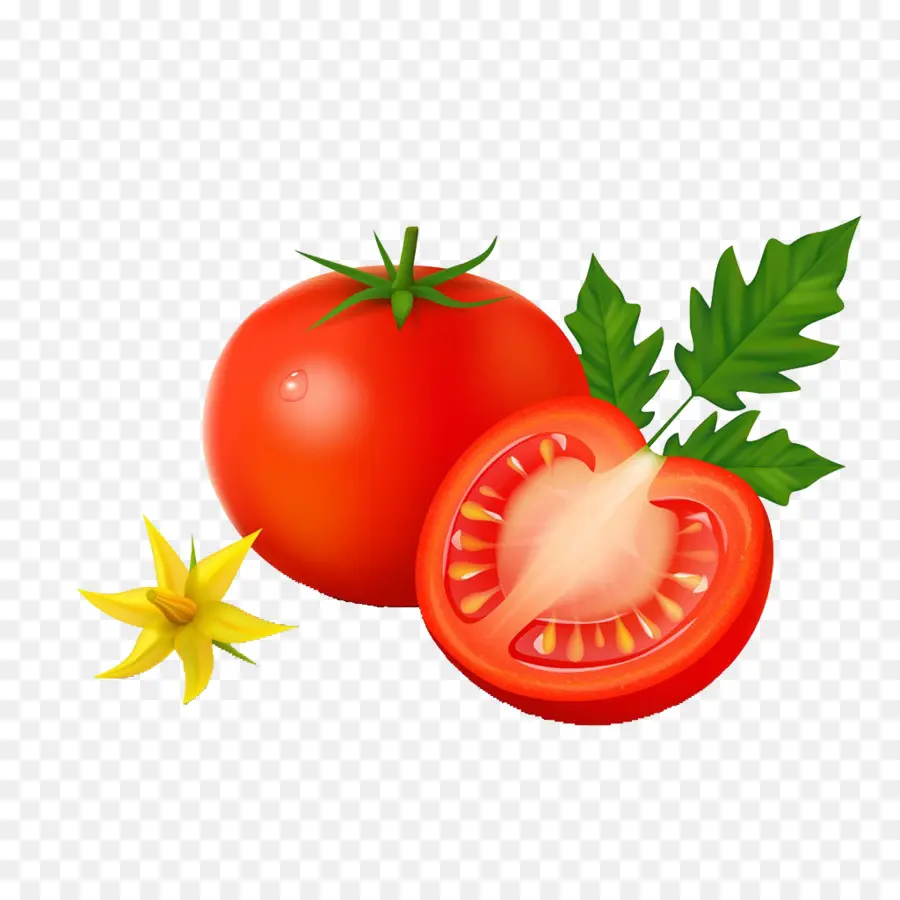 Légume，Tomate PNG
