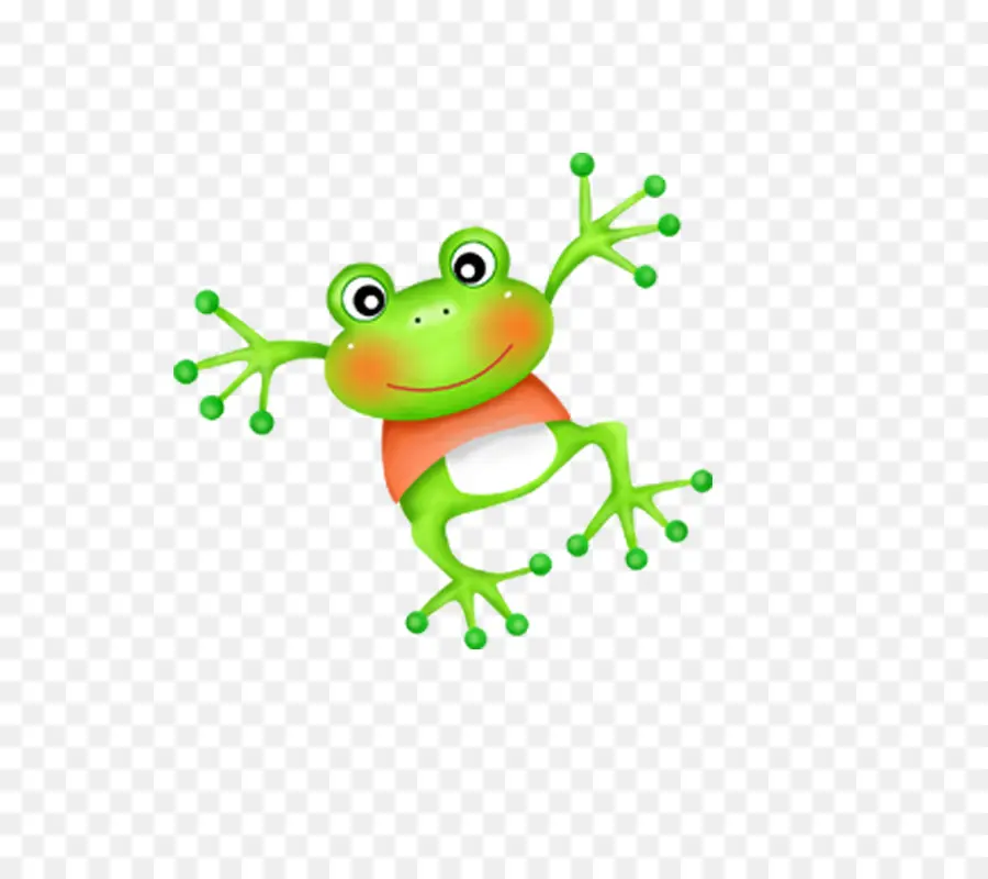 Grenouille De Dessin Animé，Animal PNG