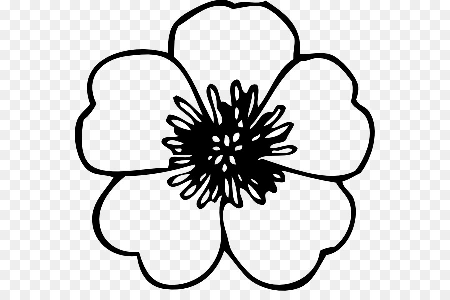 Fleur，Noir Et Blanc PNG