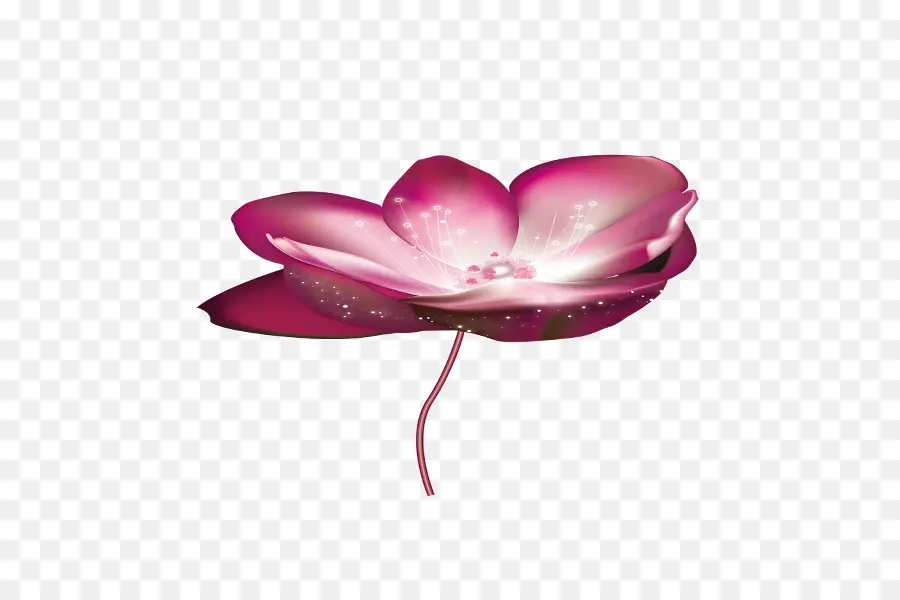 Fleur Rose，Fleur PNG