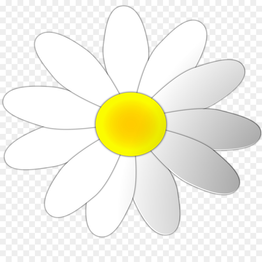 Marguerite，Blanc PNG