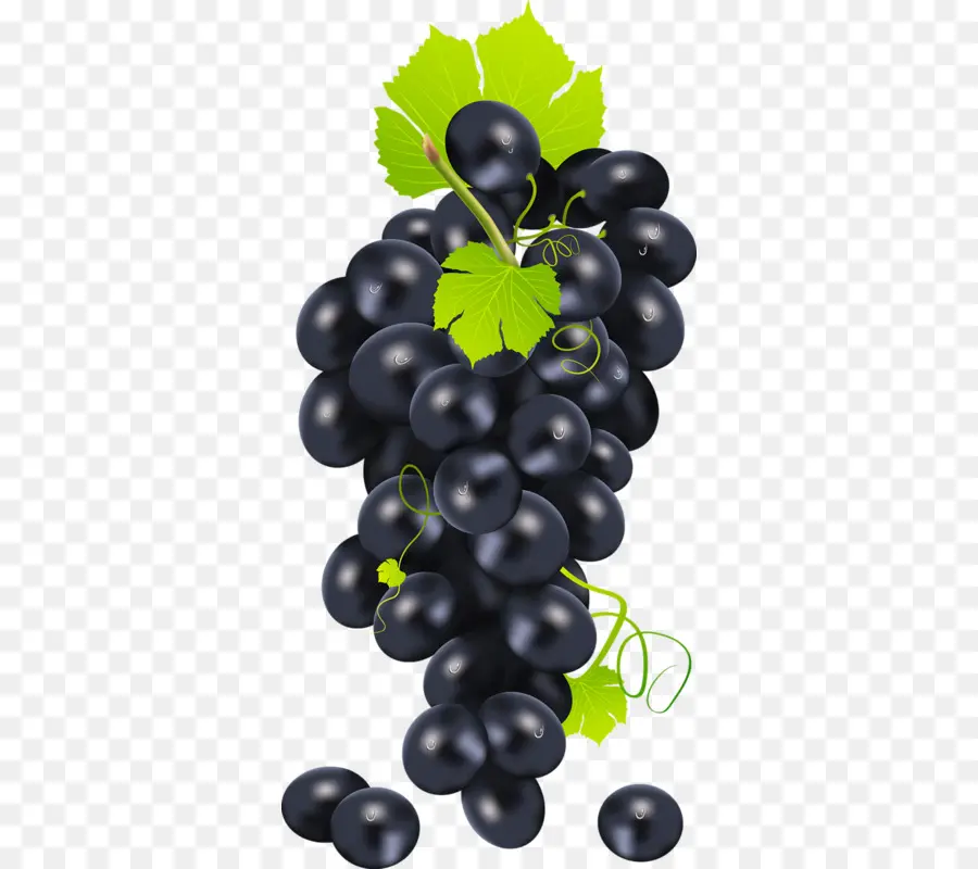 Raisins Rouges，Vigne PNG