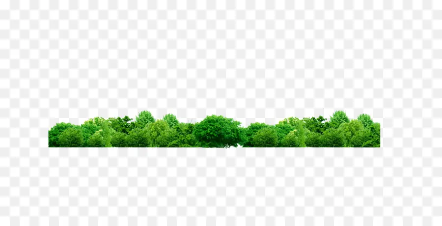 Vert，Arbre PNG