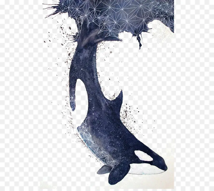 Orque，Baleine PNG